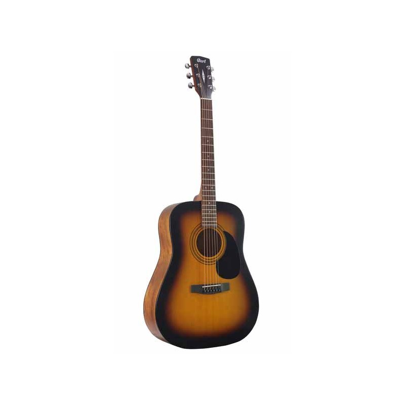 Guitare Folk WALDEN Natura D550